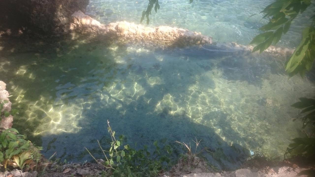 Blue Monkey Beach Cottages Shimoni Exterior foto